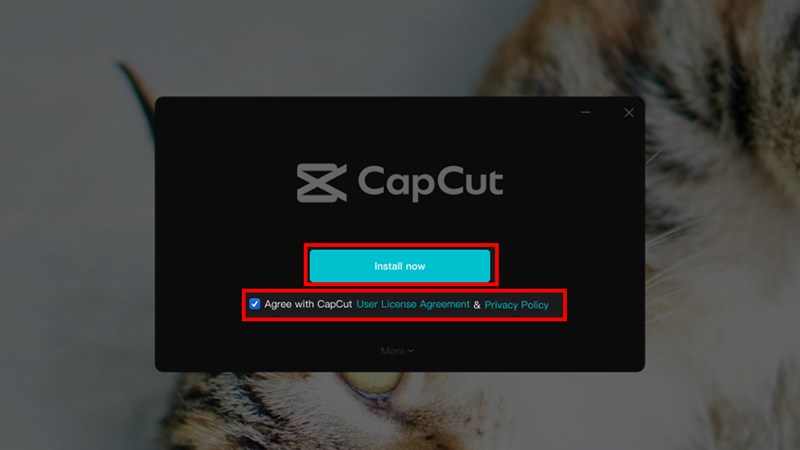 Download CapCut PC Full Crack 2025