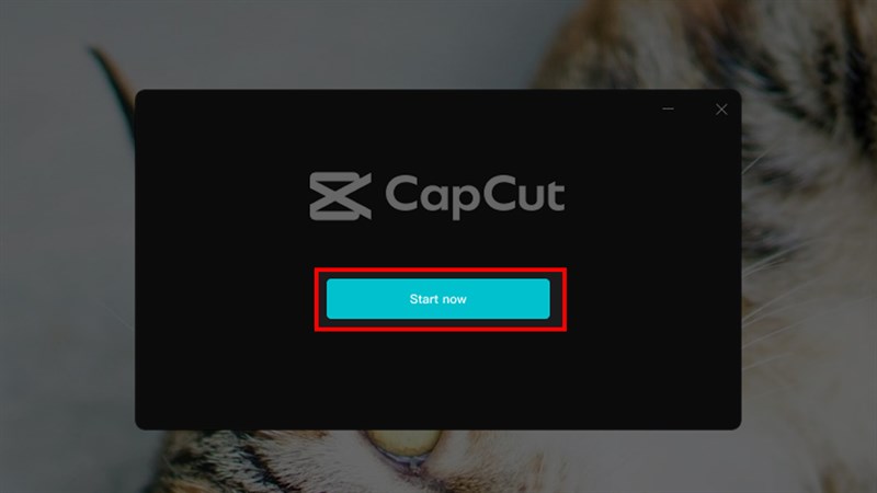 Download CapCut PC Full Crack 2025